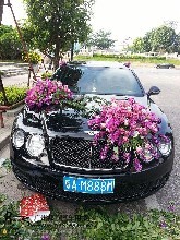 廣州市好正名車匯汽車服務咨詢